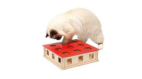 Best interactive cat toys: Keep your cat mentally sharp | PetsRadar