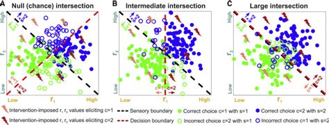 Cracking The Neural Code For Sensory Perception By Combining Statistics