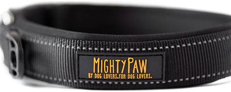 Neoprene Padded Dog Collar - Mighty Paw Sport Collar with Reflective ...