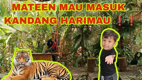 First Time Masuk Wild Park Mau Masuk Kandang Harimau Youtube