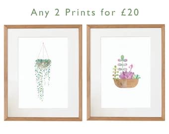 String Of Pearls Plant Lover Illustration Botanical Print Etsy