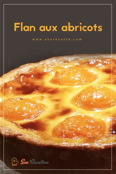 Flan Aux Abricots Sos Recette