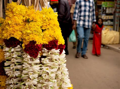 Munnar India 3 | AmeliaAndJP.com