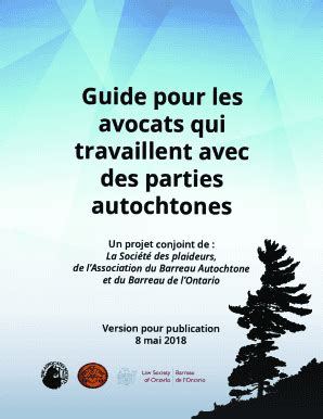 Remplissable En Ligne Guide Pour Les Avocats Qui Travaillent Avec Des