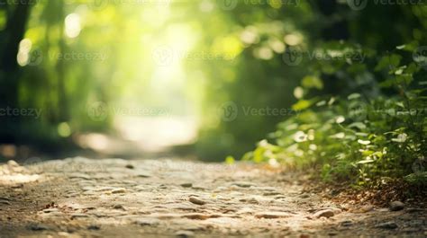 nature blur soft outdoor background ai generated 33351164 Stock Photo ...