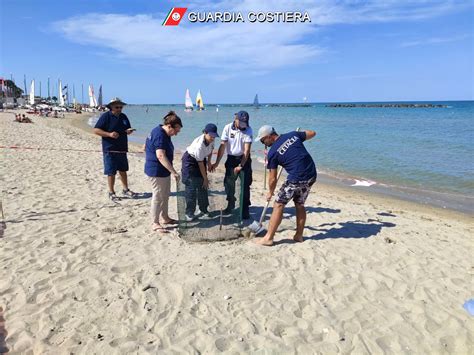 Tartaruga Marina Depone Le Uova Sulla Spiaggia Youtvrs