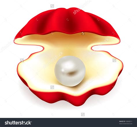 clipart oyster pearl - Clipground