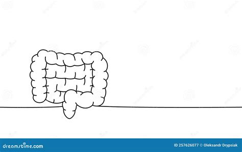 Human Intestines One Line Continuous Drawing Human Organ Continuous