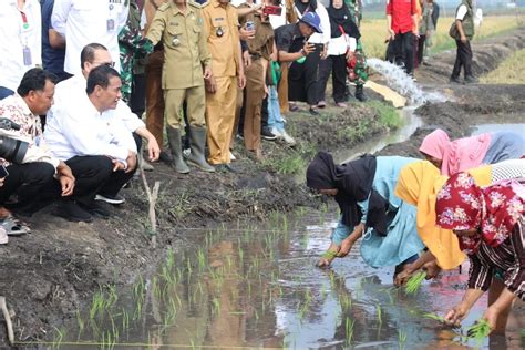 Mentan Amran Sulaiman Manfaatkan Lahan Rawa Untuk Tingkatkan Indeks