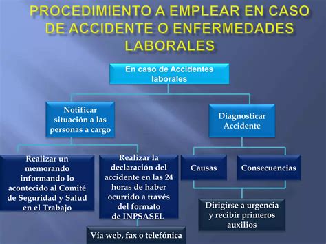 Higiene Y Seguridad Industrial Procedimiento PPT