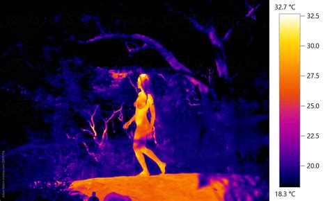 Female Nude Naked Woman Thermal Heat Image In Natural Bush Landscape