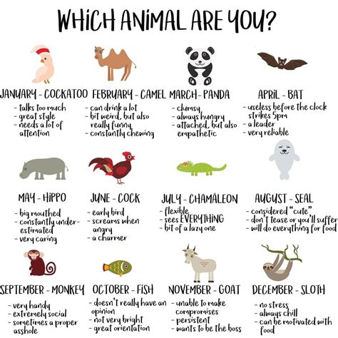 Which animal are you? Buzzfeed | What animal are you, Birth animal ...