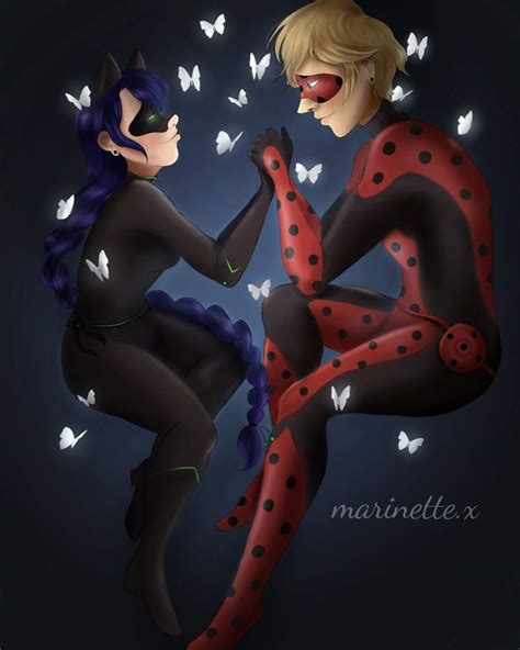 Ladynoir Kwami Swap Miraculous Amino