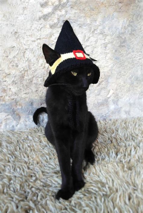 Witch Hat for Cat Pet Costume Cat Halloween Costume Pet | Etsy