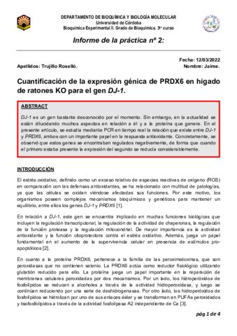 Memoria Pl Pdf