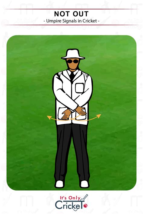 Cricket Umpire Signals: What They Mean Illustrated with Images