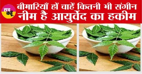 Neem Health Benefits सुबह खाली पेट नीम के पत्ते चबाने के होते हैं ये