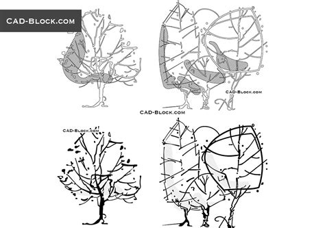 Freehand Sketch of Tree Elevation free CAD blocks download