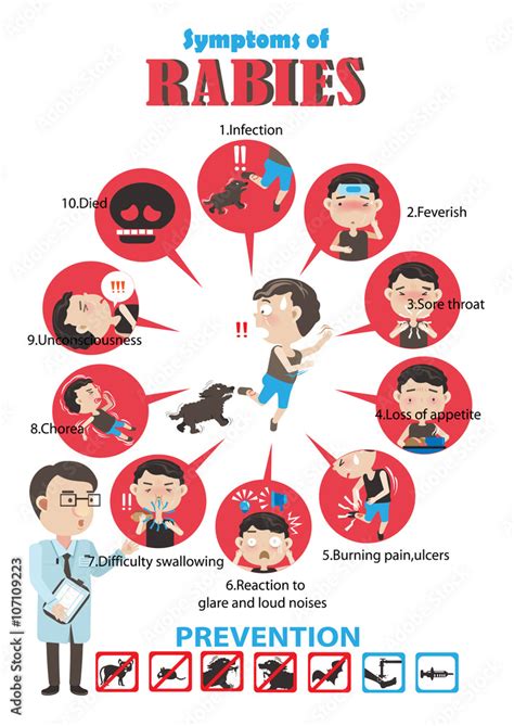 Rabies Cartoon In Circles Info Graphics Vector Illustrations Stock