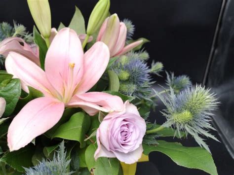 BloomsUp Di Rose Lilium Ed Eryngium Blooms Shop