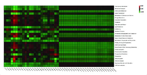 Functional Prediction Of Epibacterial Communities Associated With S