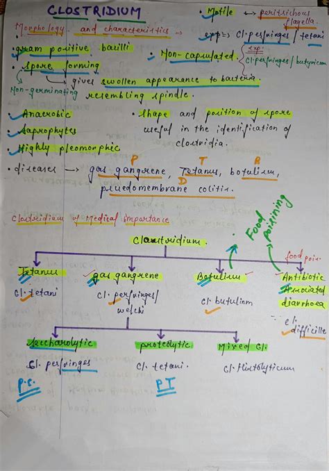 SOLUTION Clostridium Microbiology Studypool