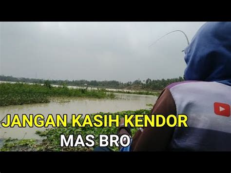 PLUNG JADI IWAK Hitungan Detik Spot Potensial Mancing Ikan Nila YouTube