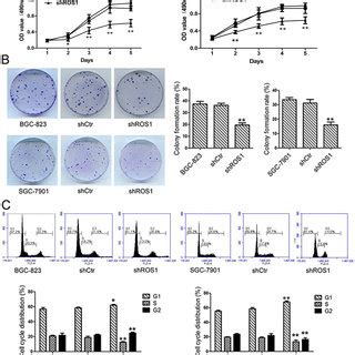 ROS1 Knockdown Reduced Cell Viability And Suppresses Colony Formation