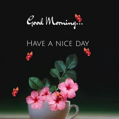 Images By Tisha On Morning Good Morning Cards Good Morning Flowers