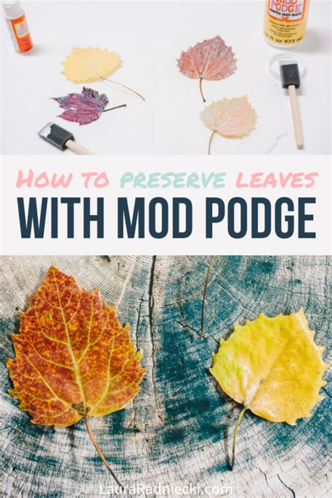 How To Make Diy Mod Podge Leaves Artofit