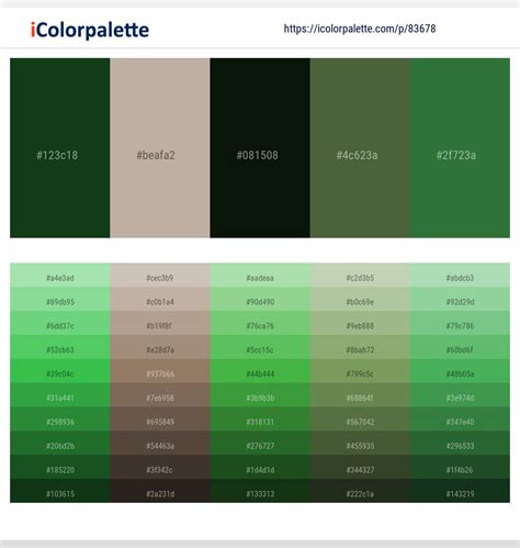 1 Latest Color Schemes with Bush And Chalet Green Color tone combinations | 2024 | iColorpalette