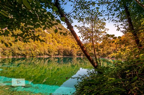 Il Grifone Del Lago Di Cornino Turista A Due Passi Da Casa