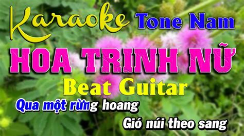 HOA TRINH NỮ TONE NAM KARAOKE FULL BEAT GUITAR TRỌNG TRẦN GUITAR