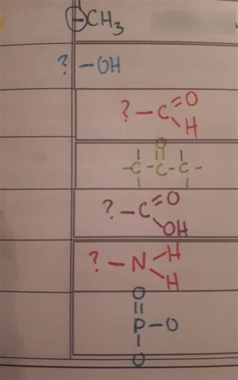 Molecule Structures Diagram Quizlet