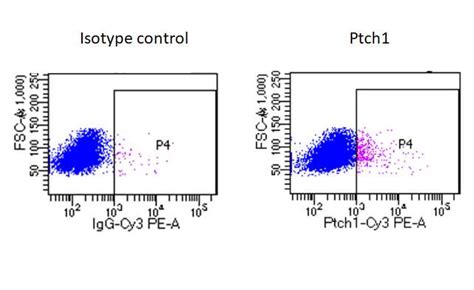 Mouse Patched Ptch First Extracellular Loop Antibody Af R D