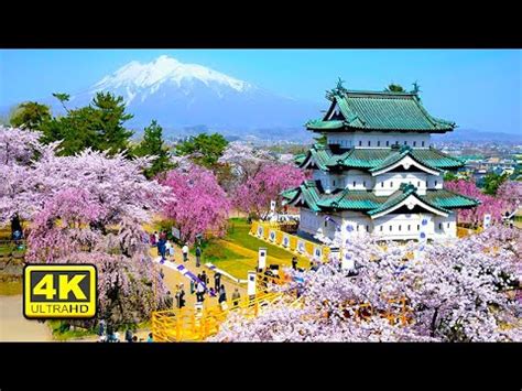 Walking In Aomori Relaxing 4K Alo Japan