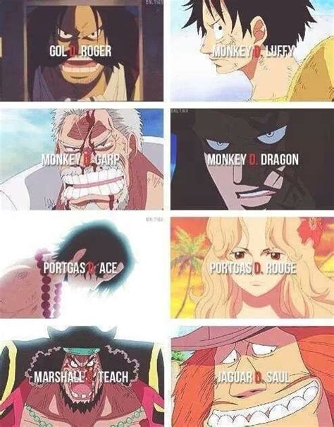 The will of D. : OnePiece