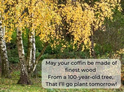 Comforting Irish Funeral Blessings: Words of Hope & Healing