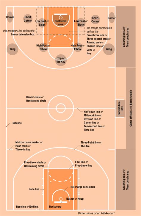 Ukuran Lapangan Bola Basket dengan Gambar dan Sejarahnya