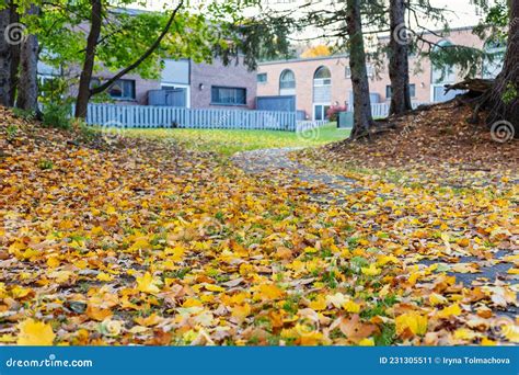 Autumn Scenery. Fallen Leaves Near Trees in Fall and Houses in ...