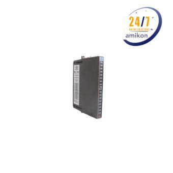 T C Ics Triplex Digital Input Module Supplier Amikon