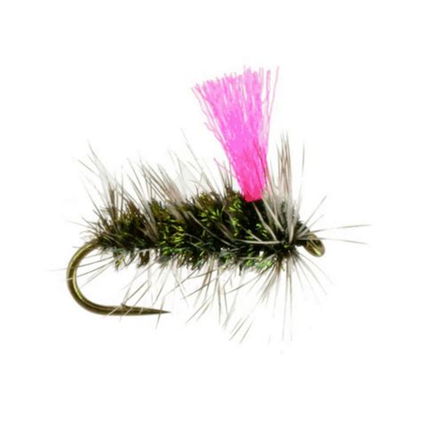 8 Best Winter Trout Flies For Fly Fishing Colorado The Fly Crate