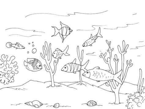 Coloriage Fond De Mer Plein De Vie Dessin Gratuit Imprimer