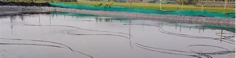 How To Start Indoor Shrimp Farming Using Biofloc Technology