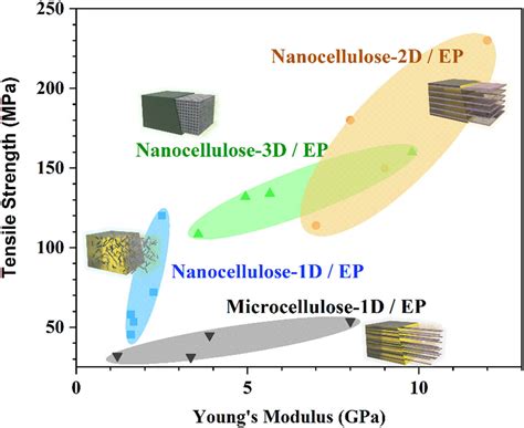 Naturally Or Artificially Constructed Nanocellulose Architectures For