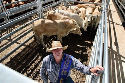 2024 All Breeds Steer Sales Winners | Burnett Livestock & Realty