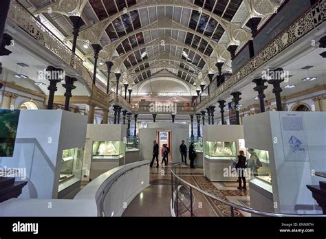 The National Museum Of Ireland Located On Kildare Street In Dublin