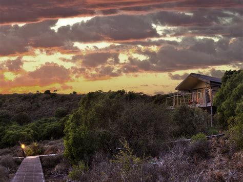 Amakhala Game Reserve | Safari Trips | Safari Lodges | Eastern Cape ...