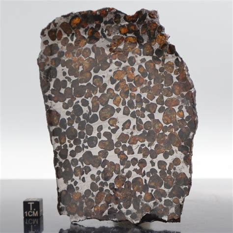 Sericho Meteorite Pallasite Complete Piece 123 G Catawiki