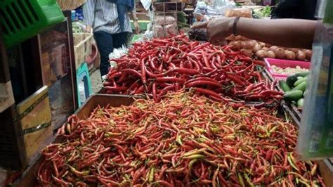 Harga Jenis Cabai Di Ponorogo Melonjak Tinggi Sebab Kemarau Panjang